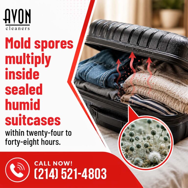 Clean travel clothes